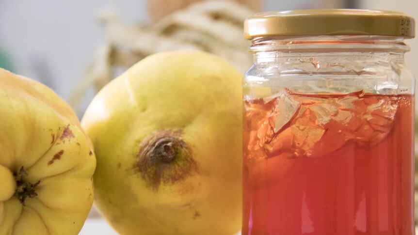 quince jelly