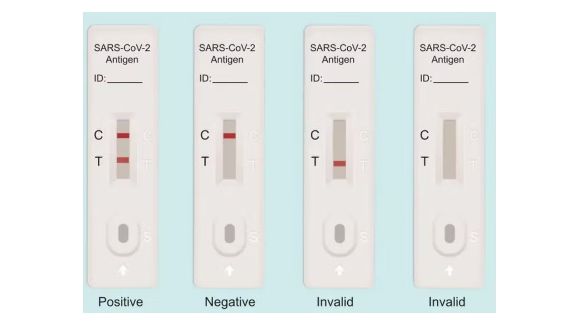 COVID-19 Rapid Antigen Tests Overhaul Needed, Researcher Says - ABC News