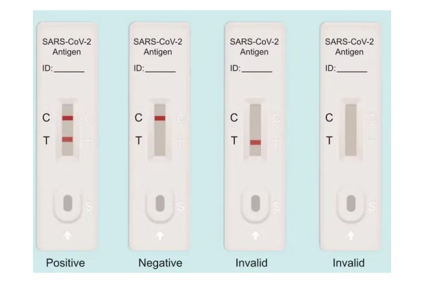 Four COVID-19 Rapid Antigen Tests showing all possible test results