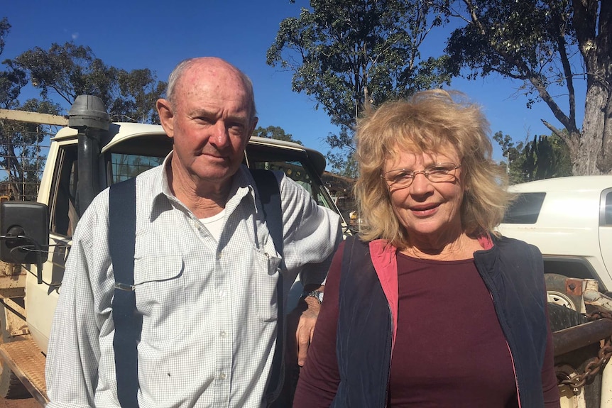 A man and a woman stand in front of a utility vehicle on a farm.