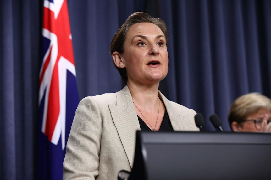 A woman with short hair and a brown jacket delivers a speech at a lectern