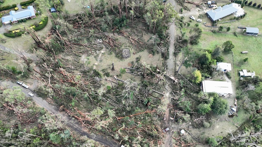 aerial image of flattened trees in Mirboo North
