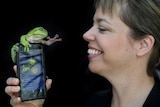 Woman's smily face on right, holding a mobile phone up on left with green tree frog on the top of the phone reaching out