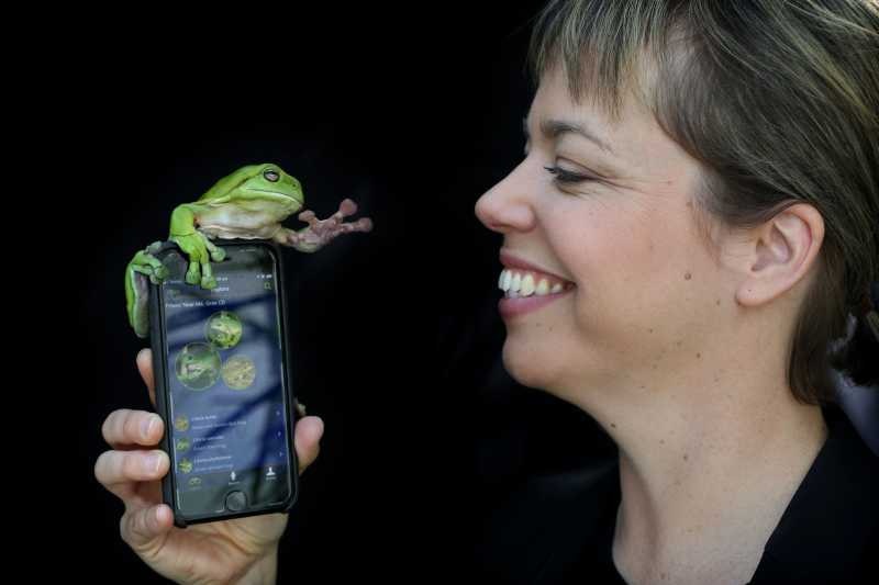 Woman's smily face on right, holding a mobile phone up on left with green tree frog on the top of the phone reaching out