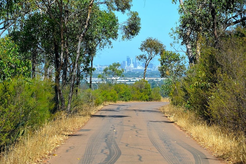 Perth city skyline from the top of the Zig Zag drive at Gooseberry Hill