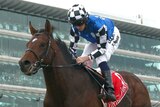 Ryan Moore rides Protectionist to win the Melbourne Cup at Flemington in November, 2014.