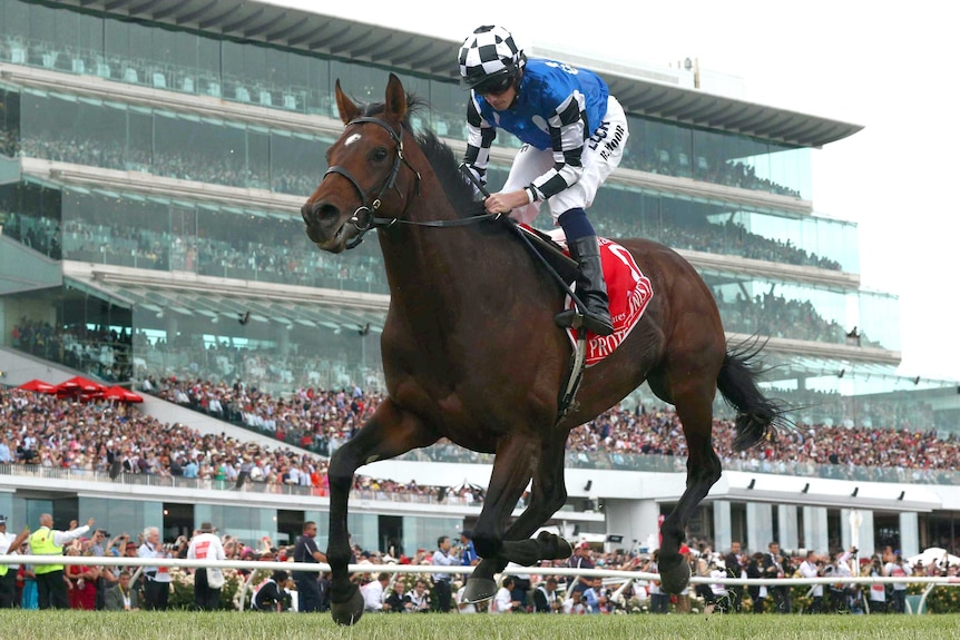 Ryan Moore rides Protectionist to victory in the Melbourne Cup.