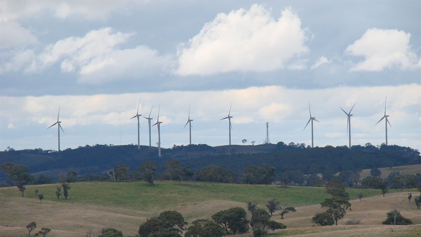 View of Wind Farm near Collector in NSW
