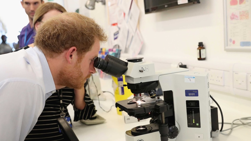 Prince Harry looking in a microscope
