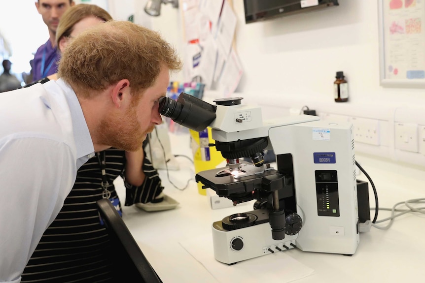 Prince Harry looking in a microscope