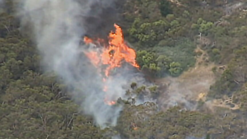 Aerial view of flames from a fire burning south of Adelaide
