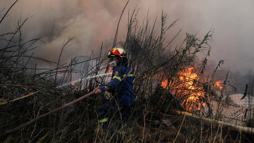 A firefighter in tall grass holding a hose with fire and smoke in the background. 