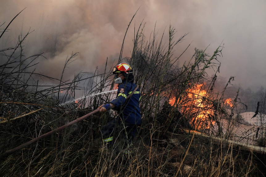 Strażak w wysokiej trawie trzymający w tle wąż pełen ognia i dymu. 
