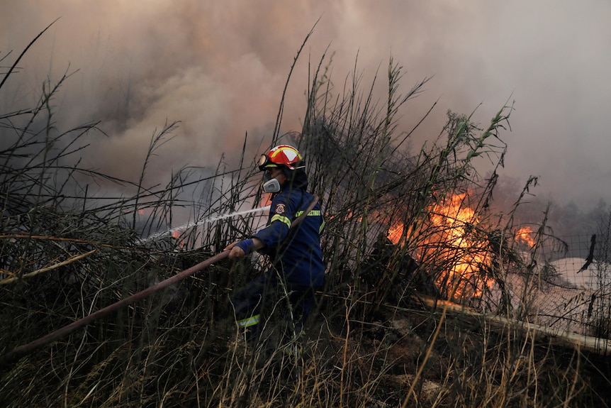 A firefighter in tall grass holding a hose with fire and smoke in the background. 