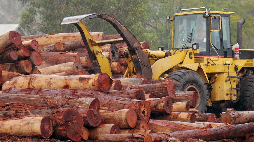 A pile of logs being moved by a tractor.