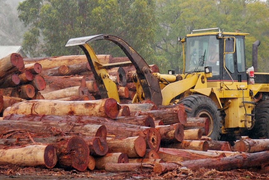 A pile of logs being moved by a tractor.