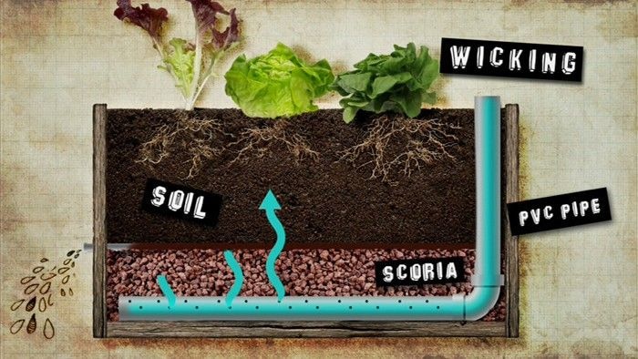 Building a Wicking Bed - Gardening Australia