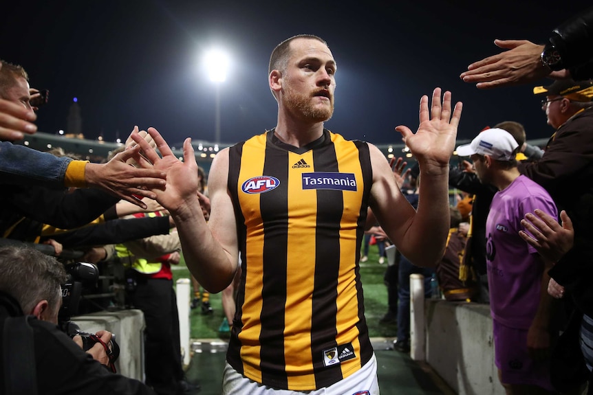 Jarryd Roughead gives high fives to Hawthorn supporters as he walks down the race at the SCG.