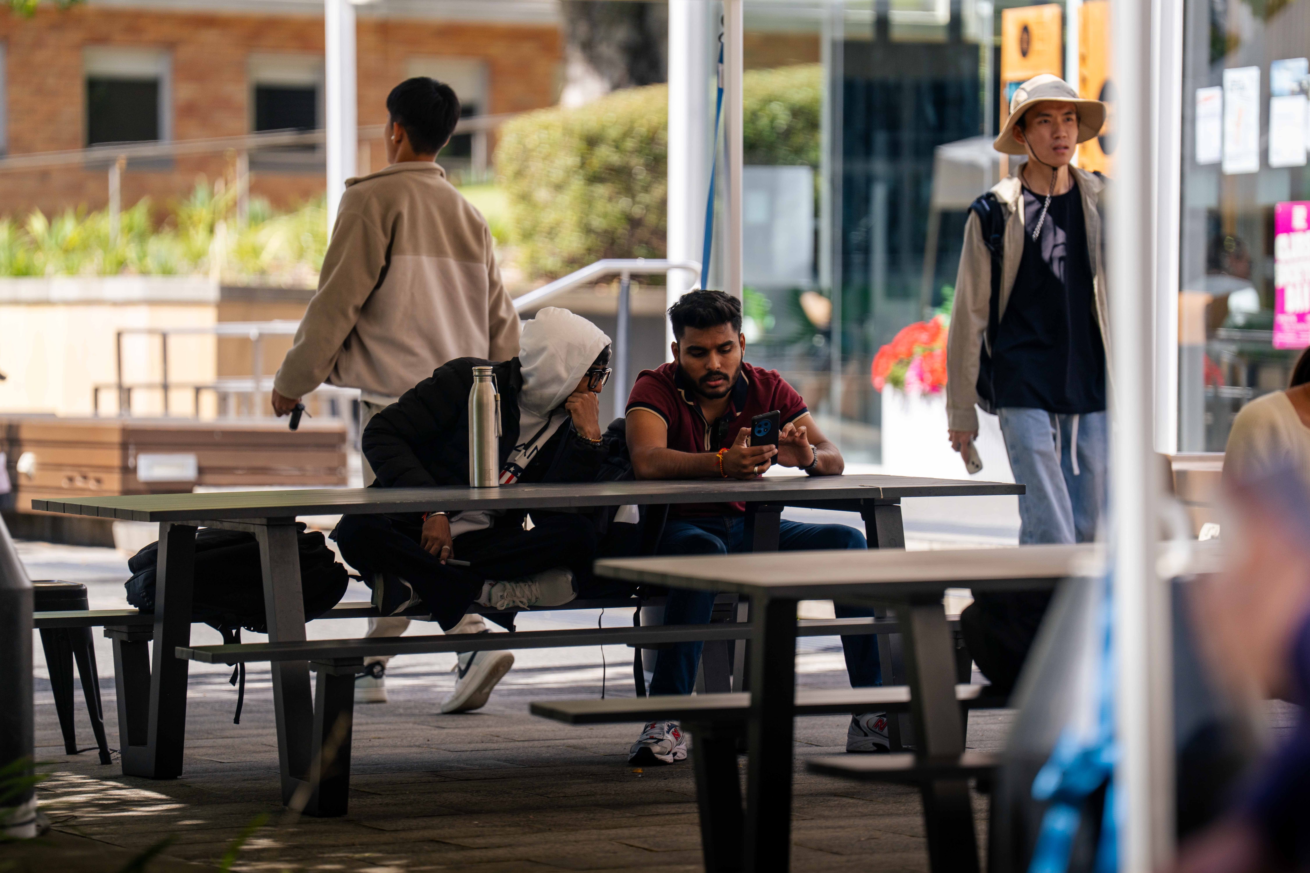 Students gathered on a university campus
