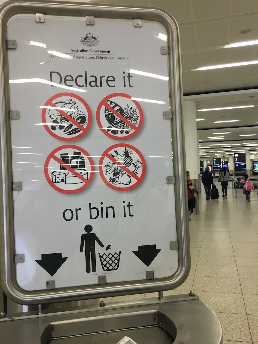 Airport biosecurity sign saying declare it or bin it with pictures of food stuffs, seeds, wooden objects
