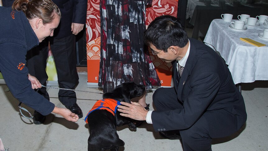 Consulate-General of Japan Shusaku Hirashima with one of the new puppy recruits.