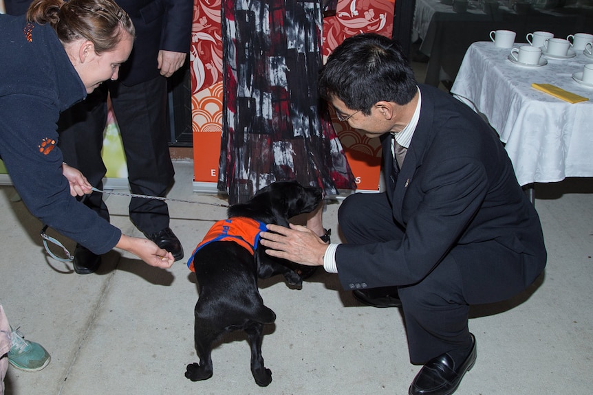 Consulate-General of Japan Shusaku Hirashima with one of the new puppy recruits.