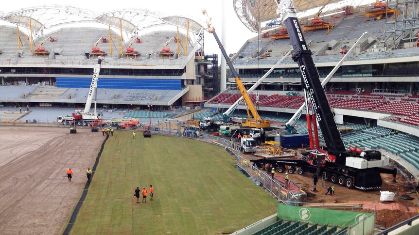 Turf is being laid at Adelaide Oval in preparation for coming cricket matches at the redeveloped stadium.