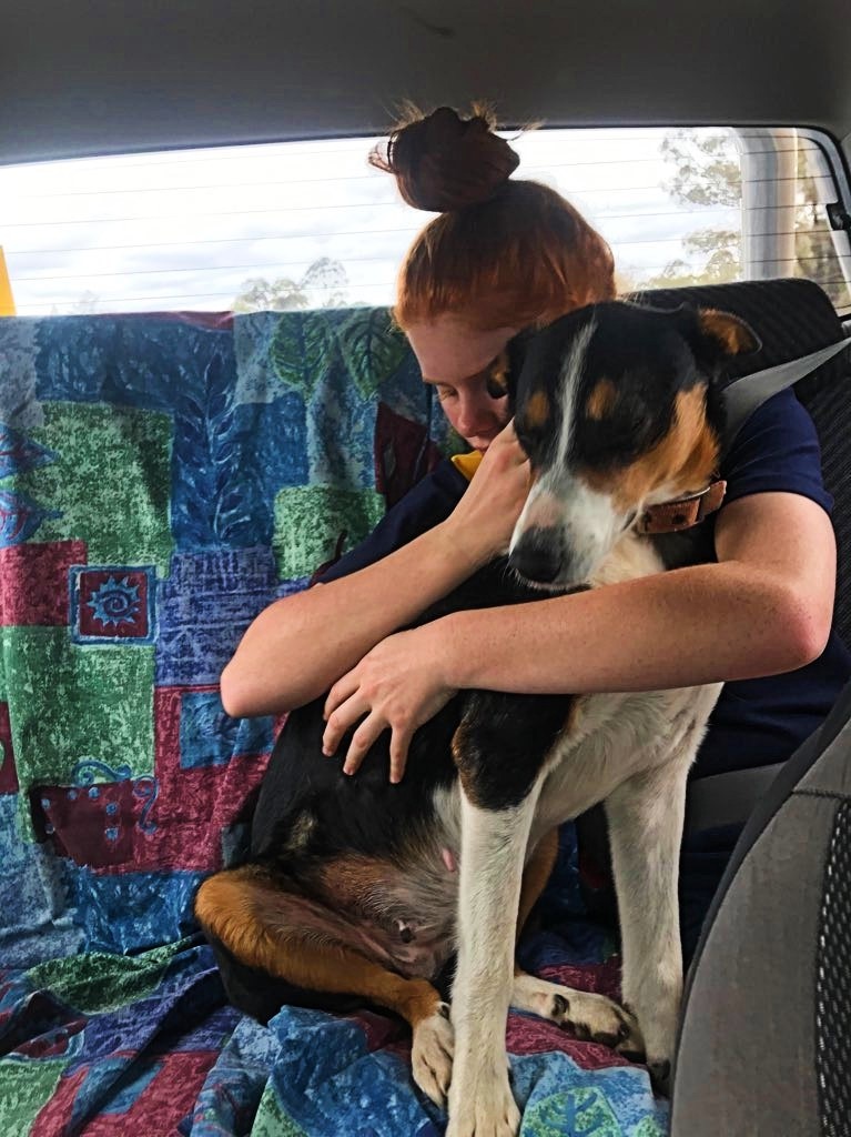 A girl embraces a dog in the back seat of a car