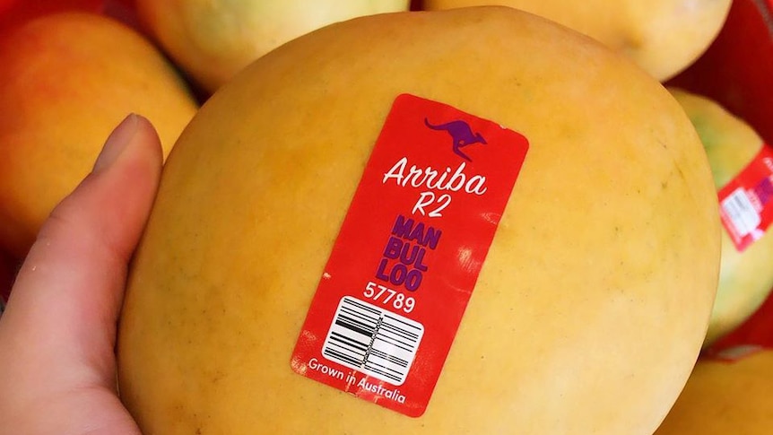 a mango with a sticker, reading 'Arriba R2'