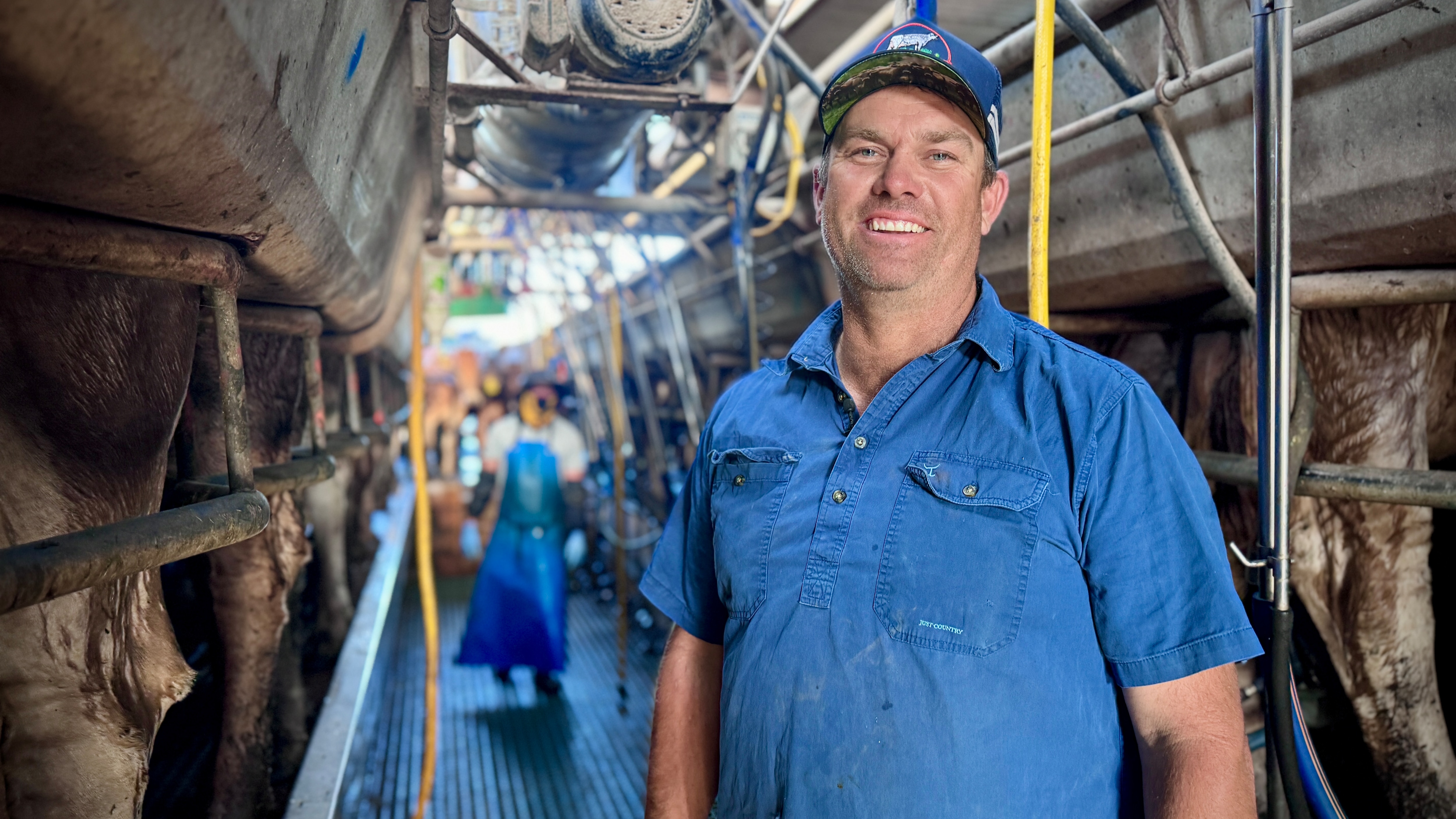Kenilworth Dairies offers lifeline to Queensland dairy farm facing closure - ABC News & Headlines – Australian Broadcasting Corporation