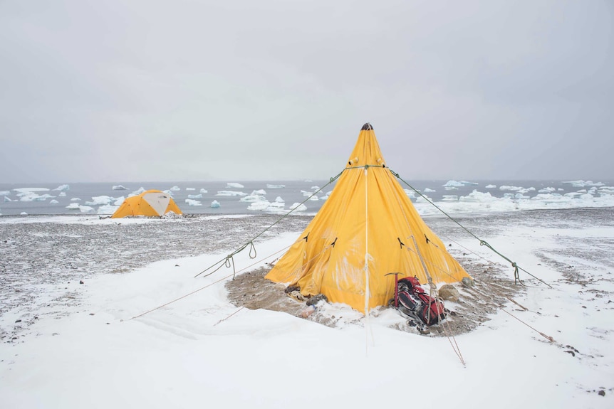 Tents during expedition