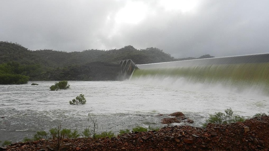 Water gushing over the spillway of a dam. The tops of trees can be seen in the river below.