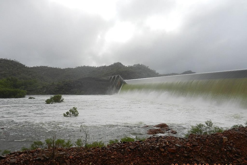 Water gushing over the spillway of a dam. The tops of trees can be seen in the river below.