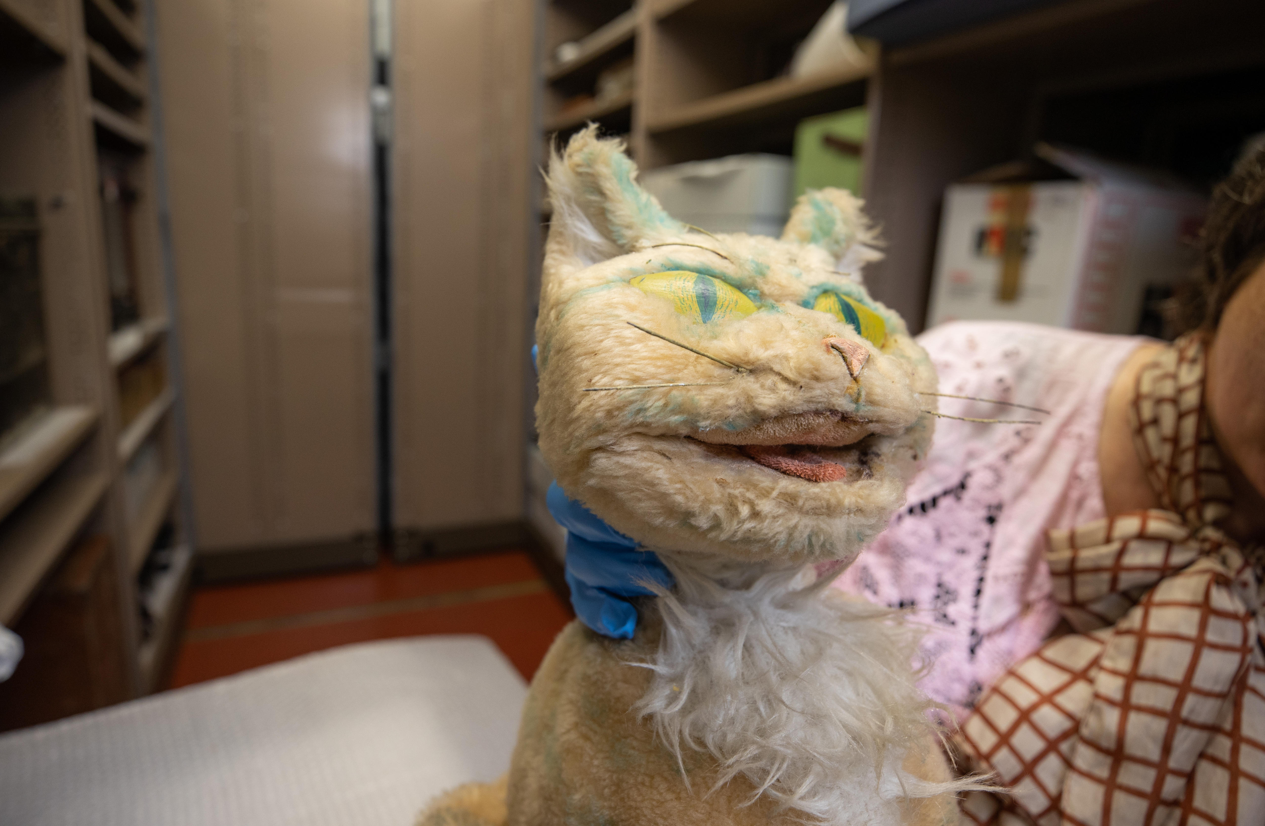 Covers off the Tasmanian Museum and Art Gallery's hidden treasures that