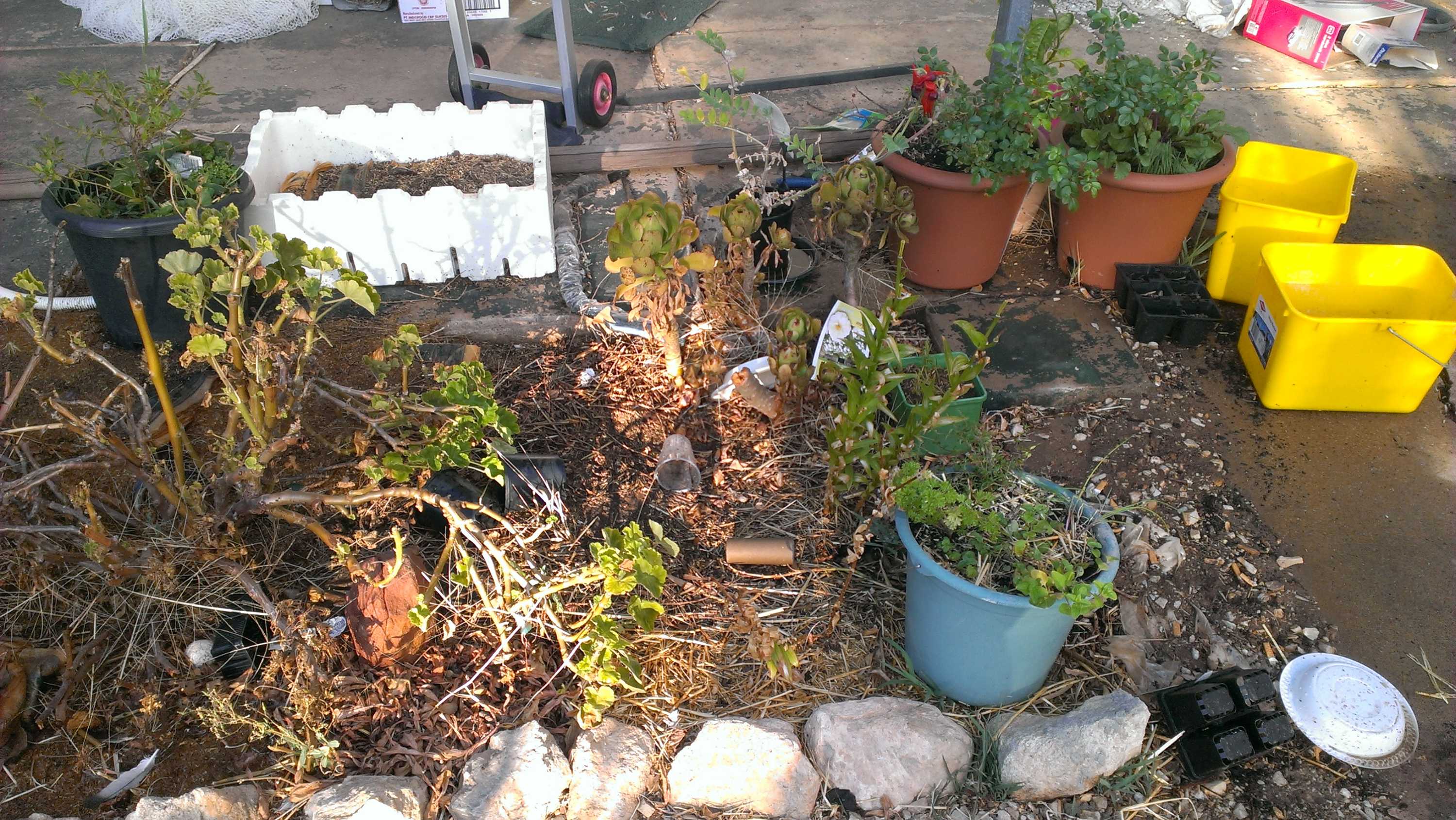 Dirty at 30 Gardeners - Gardening Australia