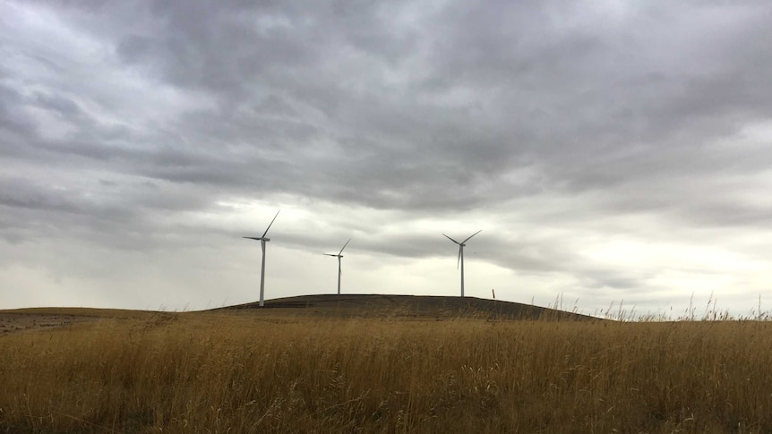Wind turbines in Waubra, Victoria 2