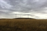 Wind turbines in Waubra, Victoria 2