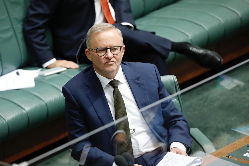Anthony Albanese sneers at the government bench, while sitting in the House of Representatives.