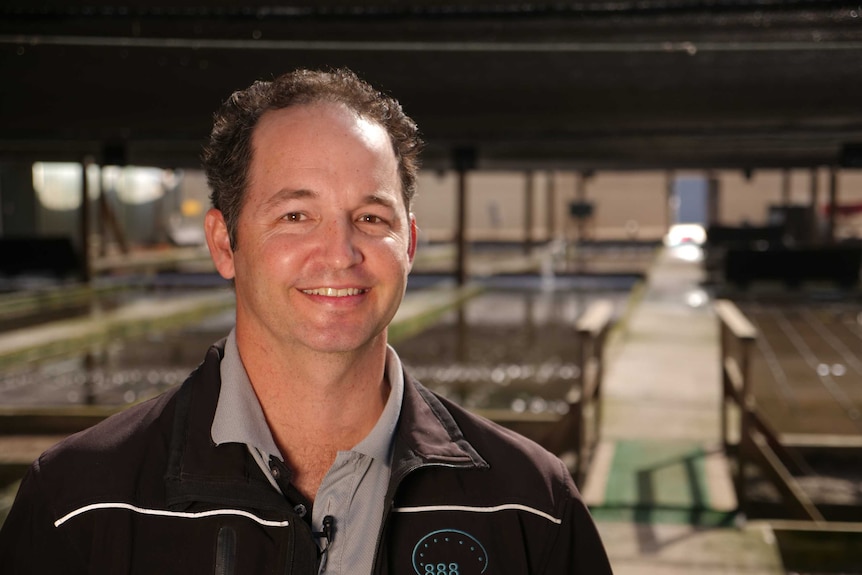 888 Abalone managing director Craig Kestel stands in Bremer Bay's abalone farm.