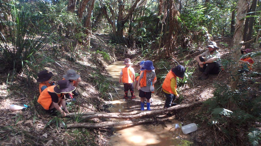 Children taking part in a Nature School preschool program in Port Macquarie.