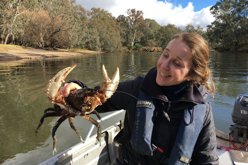 A woman holding a freshwater crayfish in a boat on the river.