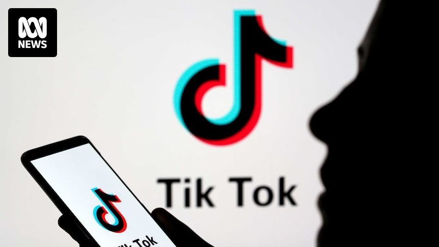 Коалиция активизирует свои призывы запретить TikTok из-за его связей с Китаем.