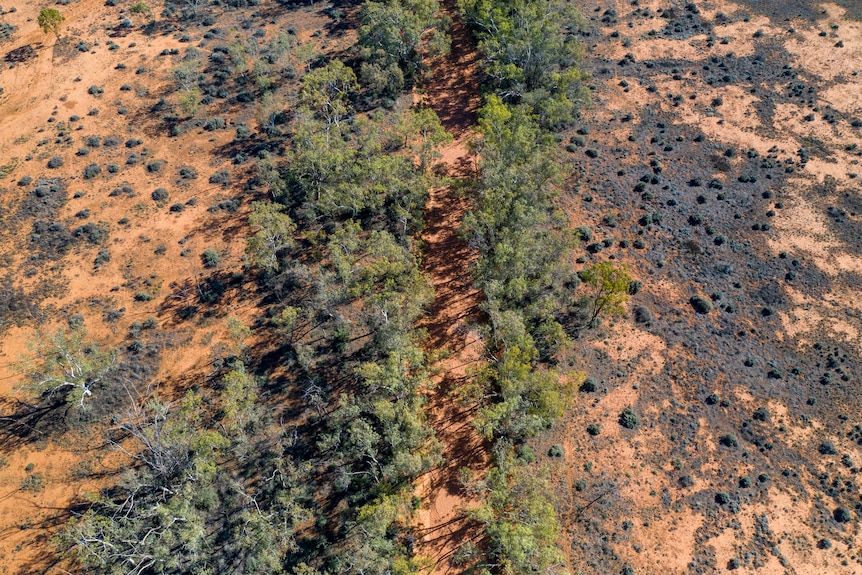 A dry, red sand creek bed near Wilcannia, New South Wales, April 2021.