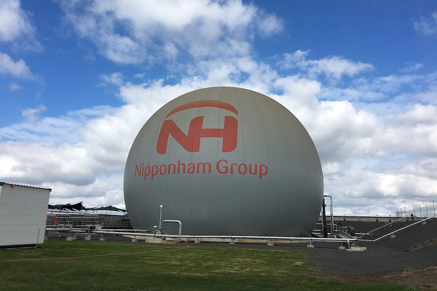'Giant bubble' for biogas storage at Oakey Meatworks on Queensland's Darling Downs