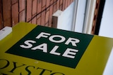 Close-up of a "for sale" sign