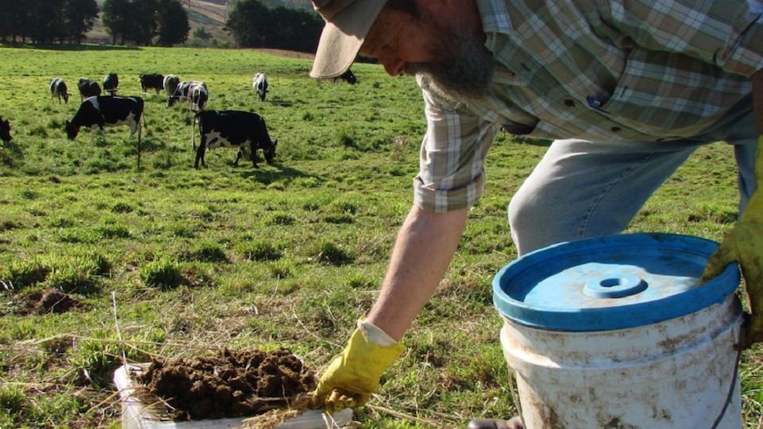 Agronomist Graeme Stevenson at work in the field