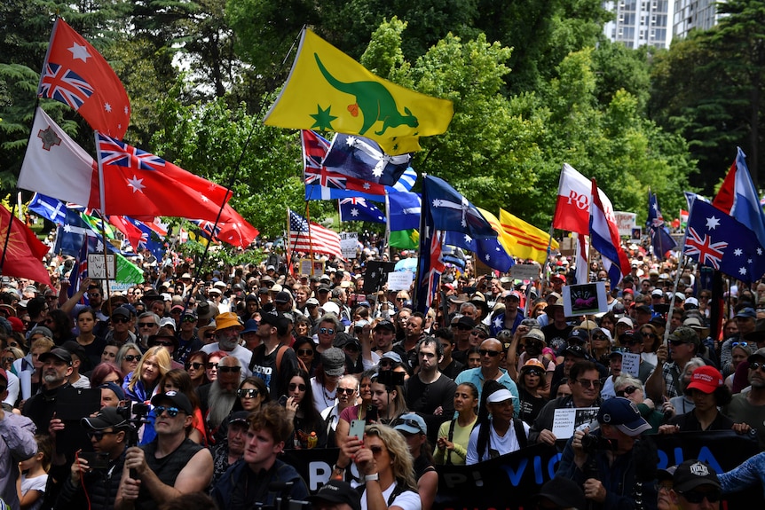 A crowd of people, many flying Australian flags, at a protest.