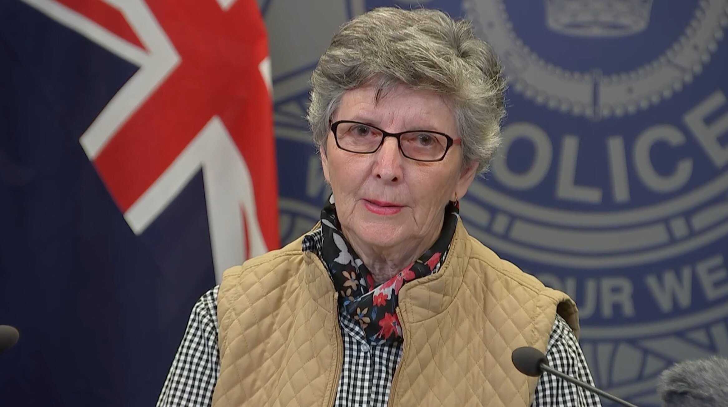 Ann standing in front of microphones, short gray hair, wearing glasses.