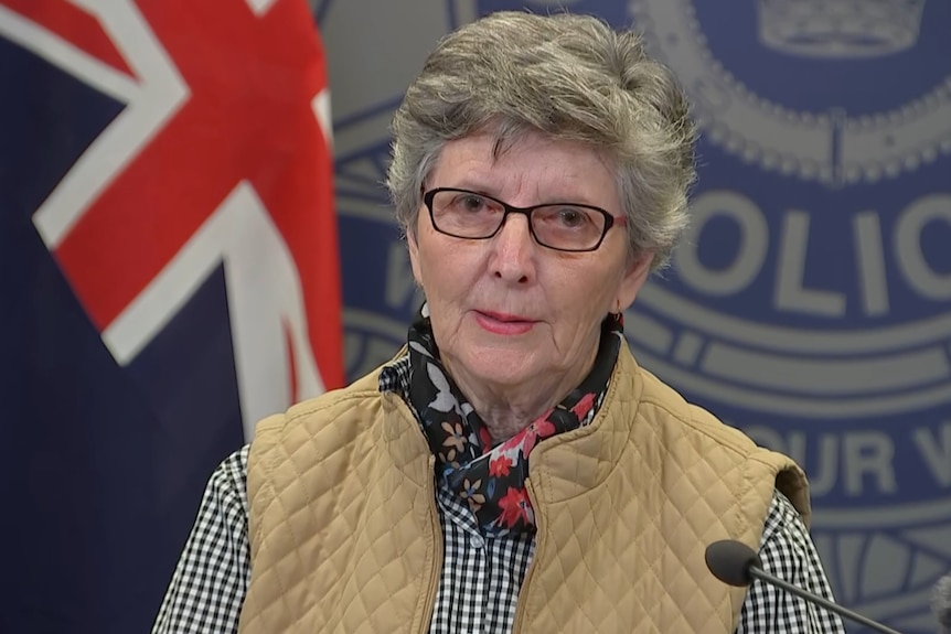 Ann standing in front of microphones, short gray hair, wearing glasses.