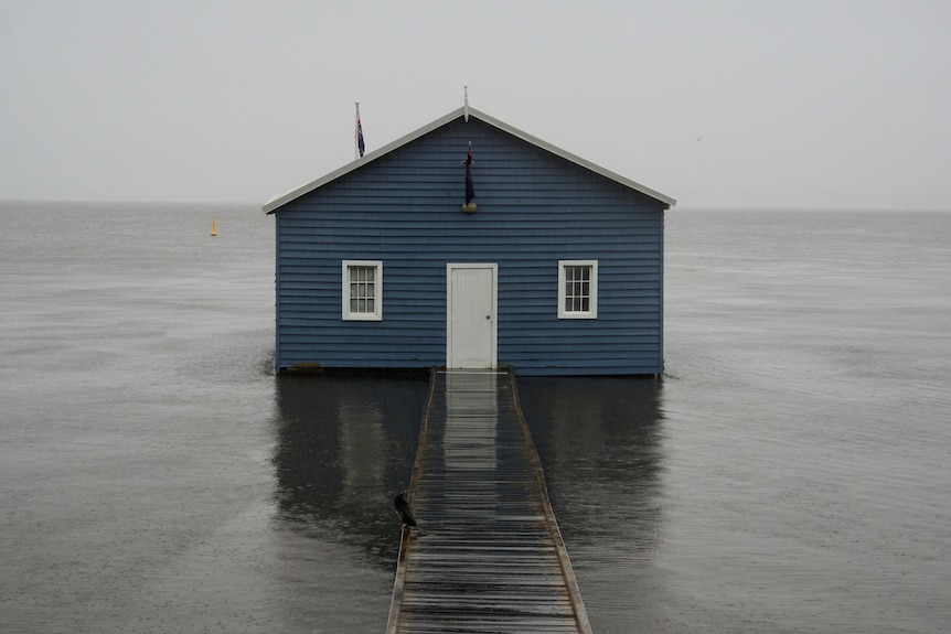 A blue boat house with a jetty path surrounded by water.